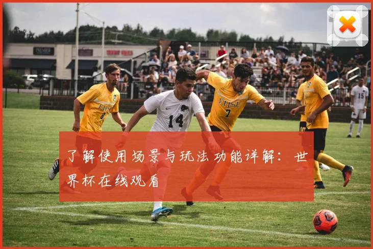 了解使用场景与玩法功能详解：世界杯在线观看