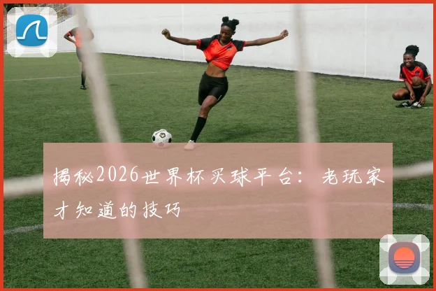 揭秘2026世界杯买球平台：老玩家才知道的技巧